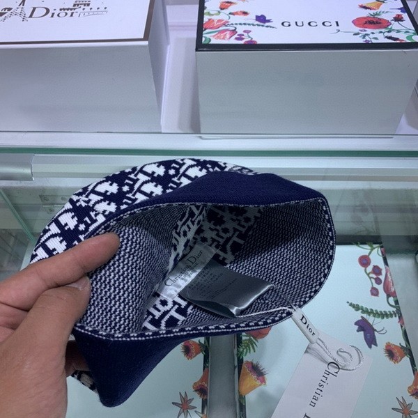 Dior Hats AAA-133