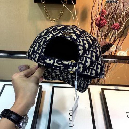 Dior Hats AAA-151