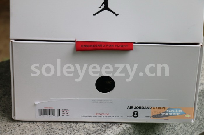 Authentic Air Jordan 33 “Future Flight”