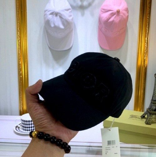 Dior Hats AAA-102