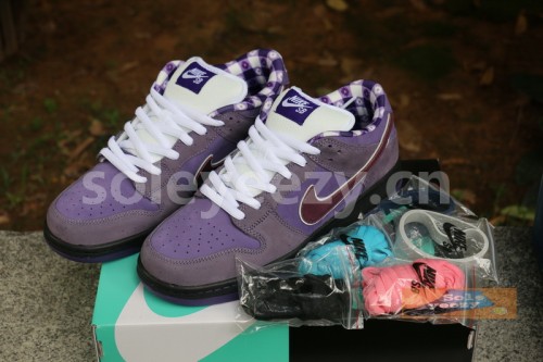 Authentic Nike Dunk SB Concepts Purple Lobster