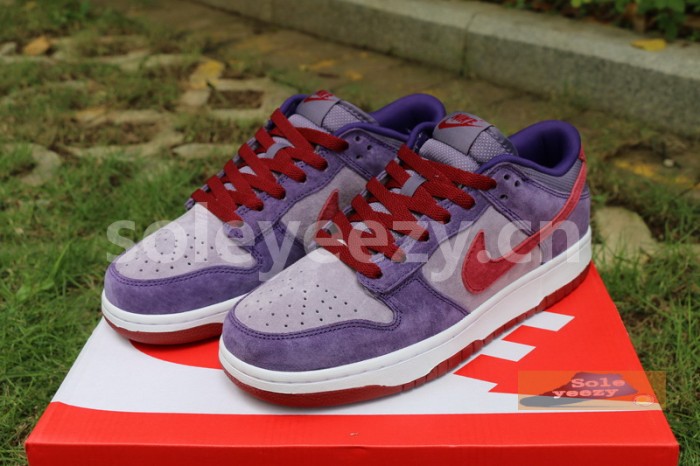 Authentic Nike Dunk Low “Plum”