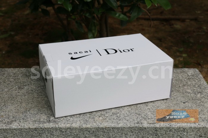 Authentic Dior x Sacai Shoes