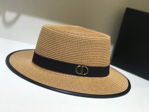 Dior Hats AAA-608