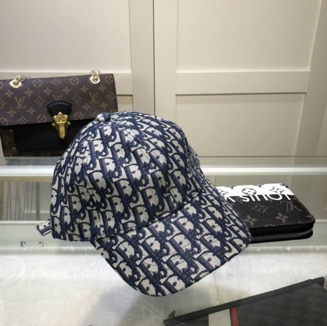 Dior Hats AAA-560