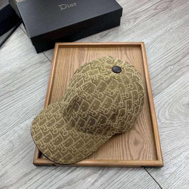 Dior Hats AAA-592
