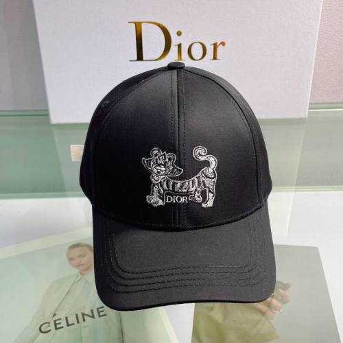 Dior Hats AAA-596