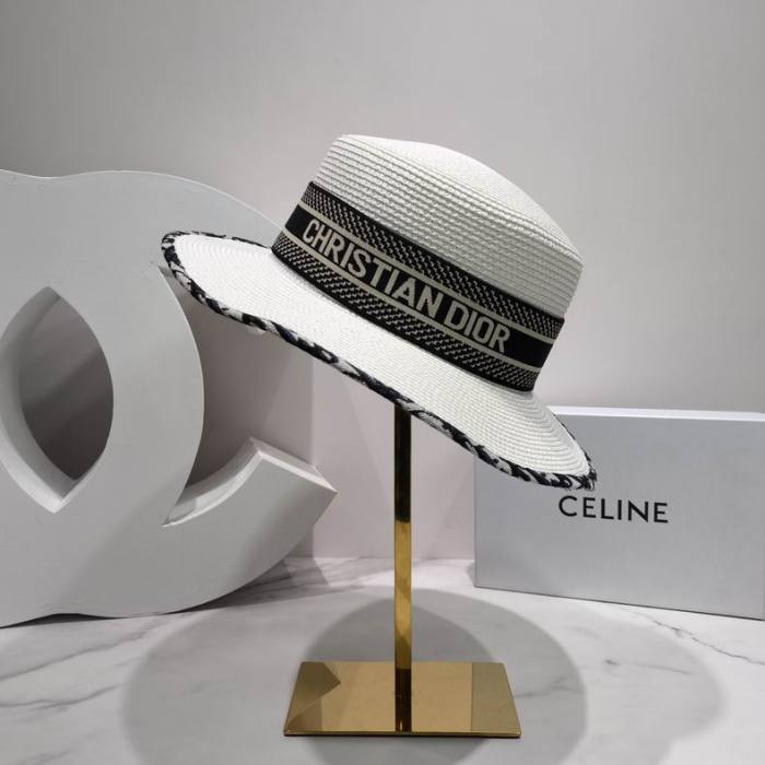 Dior Hats AAA-719