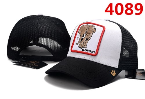Other Hats-683