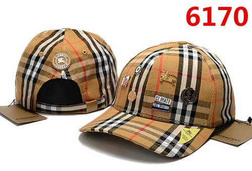 Burberry Hats-071