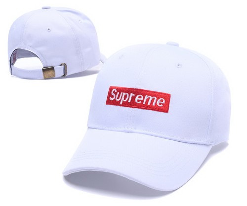 Supreme Hats-014