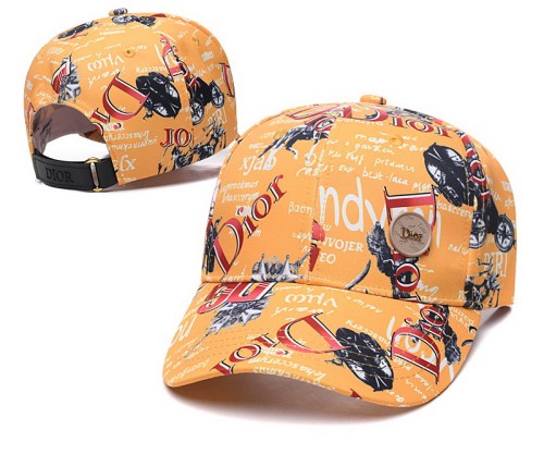 Dior Hats-022
