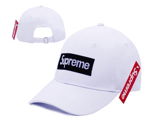 Supreme Hats-003