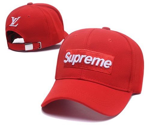 Supreme Hats-009