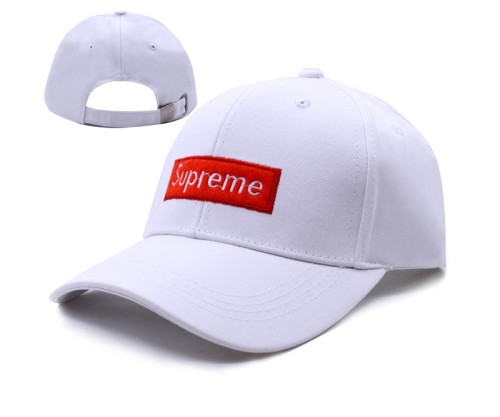 Supreme Hats-001