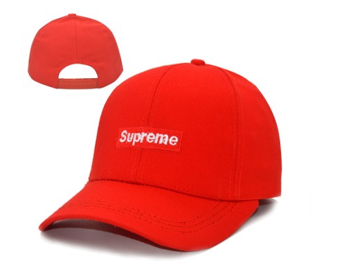 Supreme Hats-002