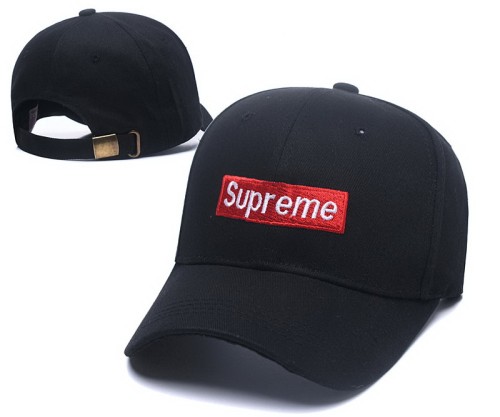 Supreme Hats-015
