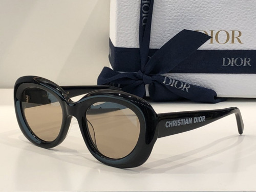 Dior Sunglasses AAAA-584