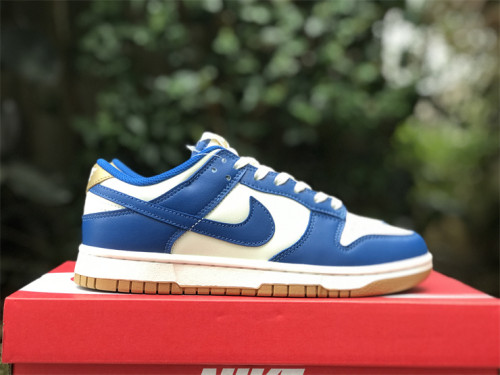 Authentic Nike SB Dunk Low FB7173-141