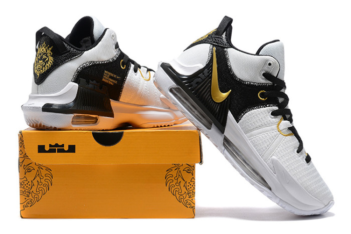 Nike LeBron James 7 shoes-008