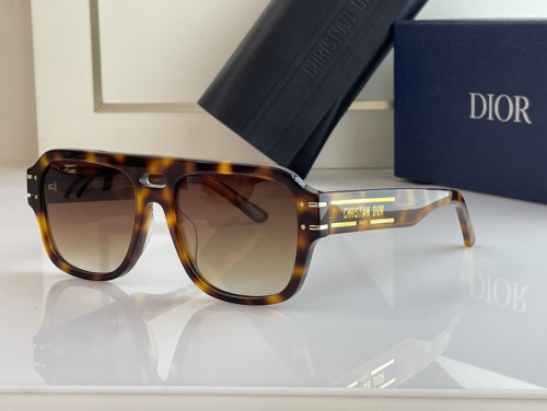 Dior Sunglasses AAAA-1176