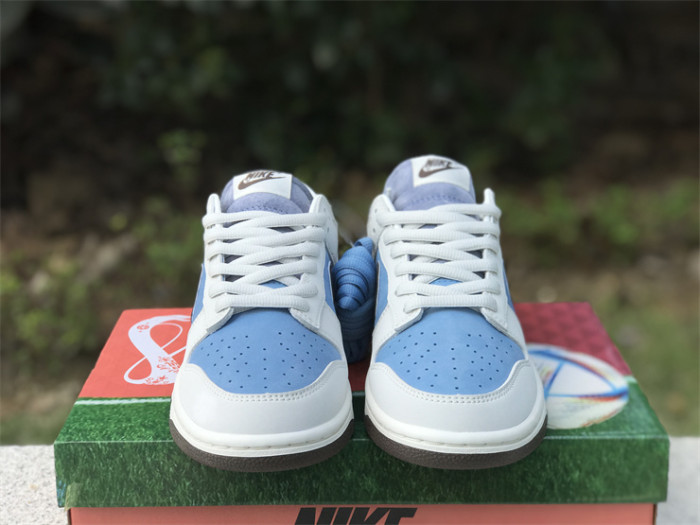 Authentic Nike Dunk Low AT2022-666