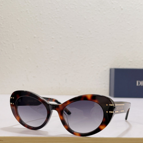 Dior Sunglasses AAAA-1669