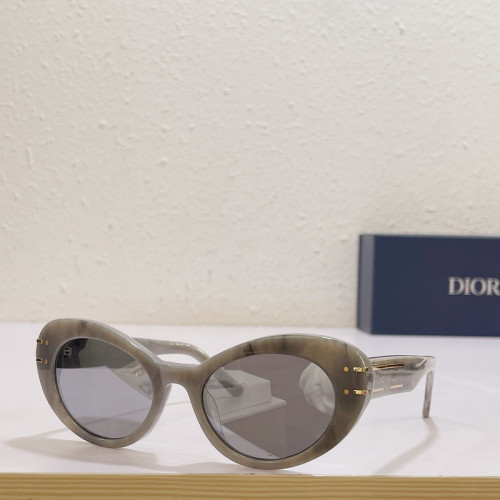 Dior Sunglasses AAAA-1673