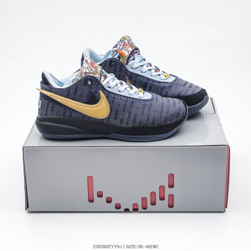 Nike LeBron James 20 shoes-035