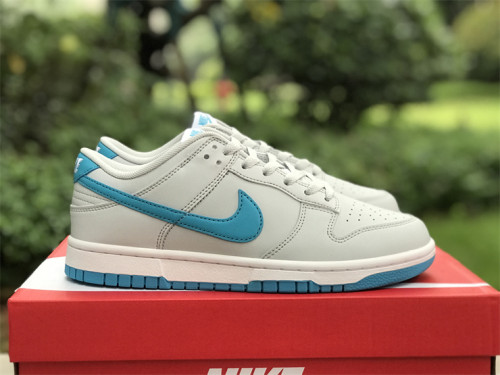 Authentic Nike Dunk Low “Light Blue”