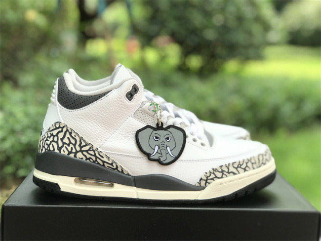 Super Max Perfect Jordan 3 shoes-022