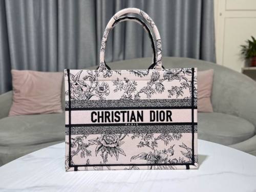 Dior Handbags AAA-249