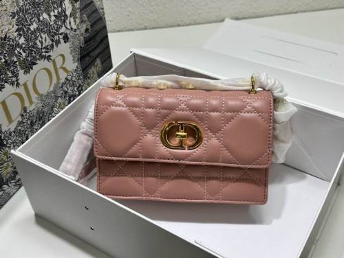 Dior Handbags AAA-080