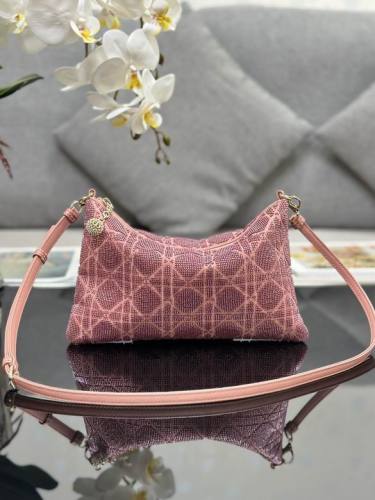 Dior Handbags AAA-103