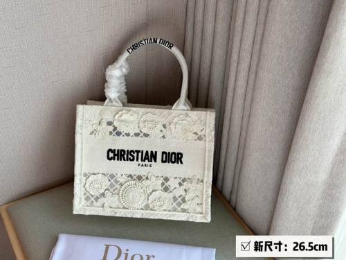Dior Handbags AAA-233