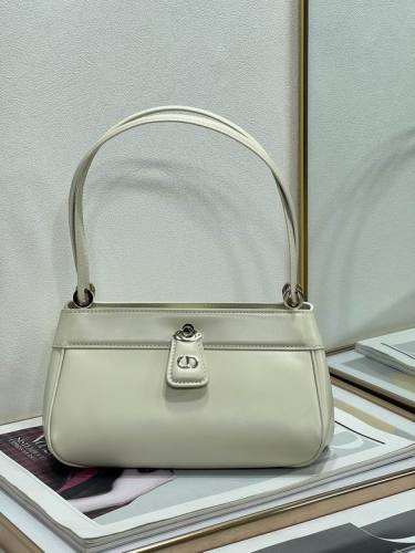 Dior Handbags AAA-090