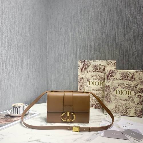 Dior Handbags AAA-119