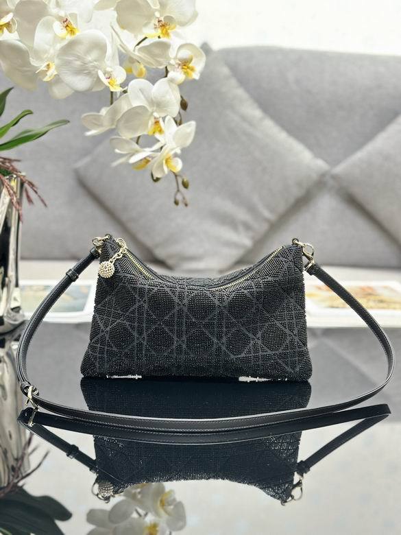 Dior Handbags AAA-102