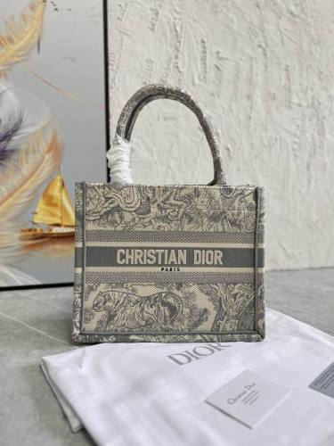 Dior Handbags AAA-257