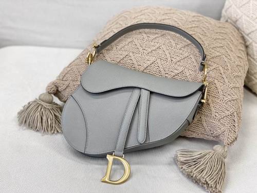Dior Handbags AAA-152