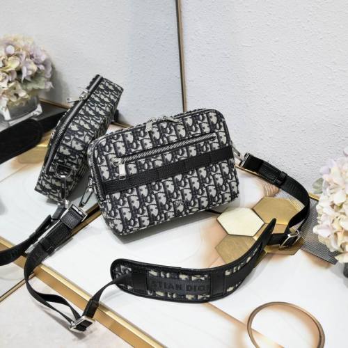 Dior Handbags AAA-052