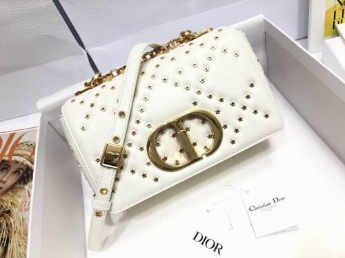 Dior Handbags AAA-171