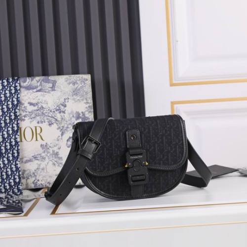 Dior Handbags AAA-056