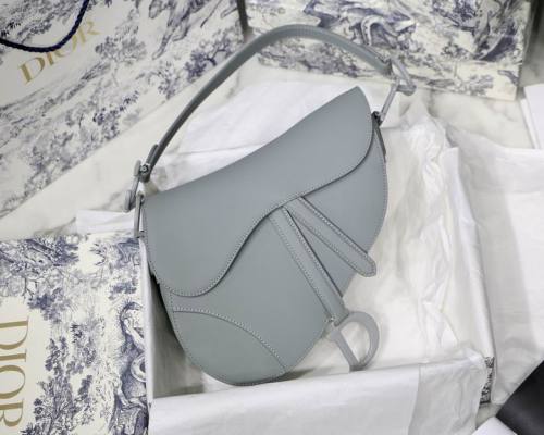 Dior Handbags AAA-165
