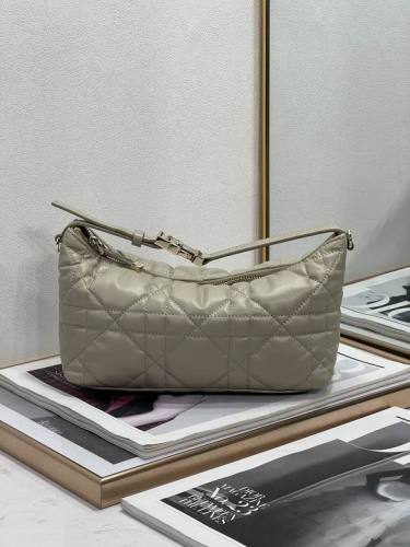 Dior Handbags AAA-098