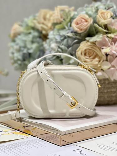 Dior Handbags AAA-105