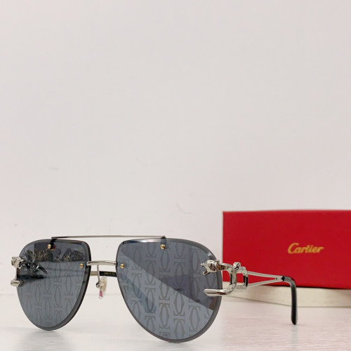 Cartier Sunglasses AAAA-2815