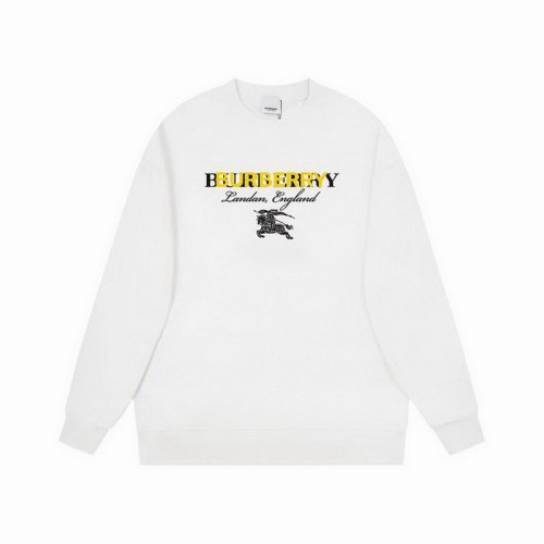 Burberry men Hoodies-893(XS-L)