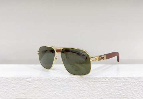 Cartier Sunglasses AAAA-3495