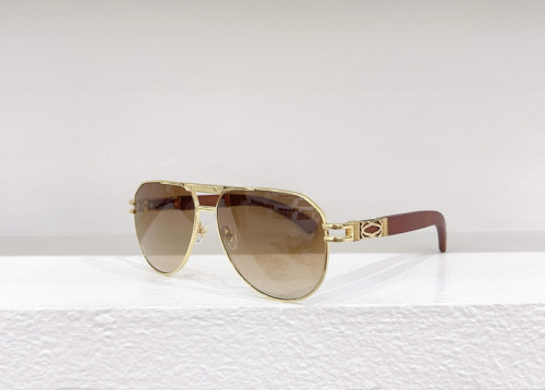 Cartier Sunglasses AAAA-3504